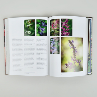 Паперова книга «Sarah Raven's Gardening Year», автор Сара Рейвен - фото №5 - мініатюра