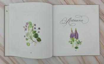 Бумажная книга «Сад казок», автор Юлианна Караман - фото №4 - миниатюра