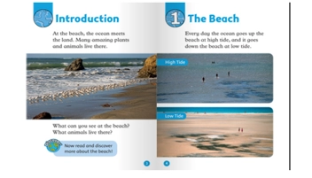Бумажная книга «Oxford Read and Discover: Level 1: At The Beach», автор Рейчел Бладон - фото №3 - миниатюра