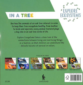 Паперова книга «Explore Ecosystems. In a Tree», автор Сара Рідлі - фото №2 - мініатюра