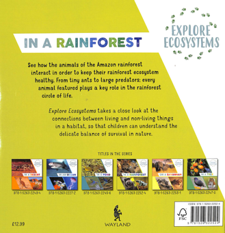 Бумажная книга «Explore Ecosystems. In a Rainforest», автор Сара Ридли - фото №2 - миниатюра