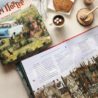 Бумажная книга «Гаррі Поттер. Ілюстроване видання (комплект із 4 книг)», автор Джоан Роулинг - фото №8 - миниатюра
