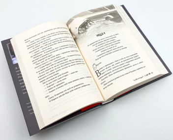 Паперова книга «І де був той розум?..», автор Л. Дж. Шен - фото №2 - мініатюра