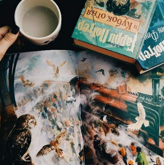 Бумажная книга «Гаррі Поттер і філософський камінь. Ілюстроване видання», автор Джоан Роулинг - фото №2 - миниатюра