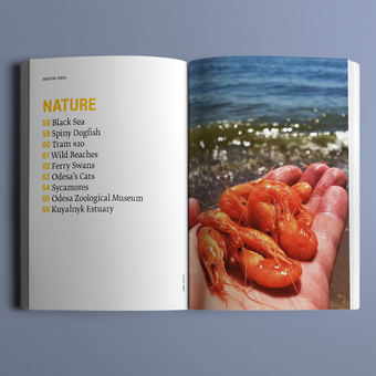 Паперова книга «Awesome Odesa», авторів Ганна Копилова, Дана Павличко - фото №4 - мініатюра