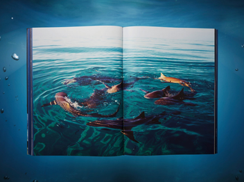 Паперова книга «Michael Muller. Sharks, Art Edition No. 101–200 "Under Study"» - фото №8 - мініатюра