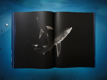 Паперова книга «Michael Muller. Sharks, Art Edition No. 101–200 "Under Study"» - фото №12 - мініатюра