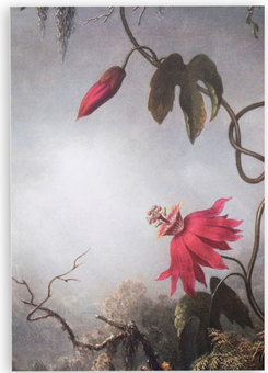 «Скетчбук Manuscript Heade 1883 (4822947200055)», бренда Manuscript - фото №3 - миниатюра