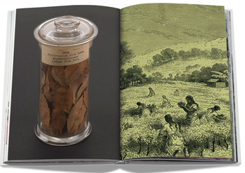 Бумажная книга «Cocaïn. History & Culture», автор Изаура Болтон - фото №7 - миниатюра