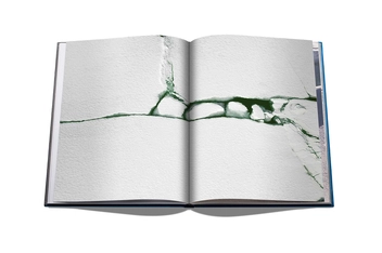 Бумажная книга «The Arctic Melt. Images of a Disappearing Landscape» - фото №4 - миниатюра