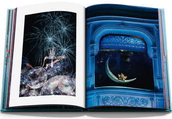 Бумажная книга «Windows at Tiffany & Co. Memoire» - фото №7 - миниатюра