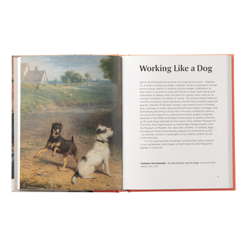 Бумажная книга «The Dog», автор Эмилия Уилл - фото №4 - миниатюра
