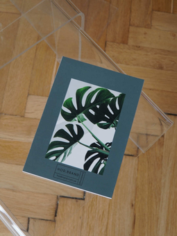 «Блокнот Hod.brand Plants (30030000050)», бренда Hod.brand - фото №4 - миниатюра