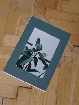 «Блокнот Hod.brand Plants (30030000050)», бренда Hod.brand - фото №5 - миниатюра