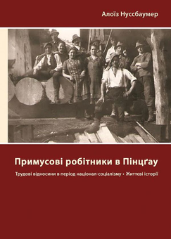 Паперова книга «Примусові робітники в Пінцґау. Трудові відносини в період націонал-соціалізму, життєві історії », автор Алоїз Нуссбаумер - фото №1 - мініатюра