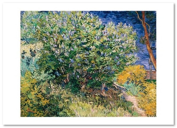 «Открытка Vincent van Gogh — Lilac Bush (VG125)», бренда Artistic Card - фото №1 - миниатюра