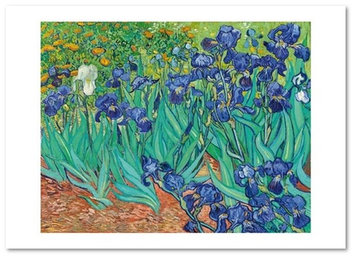 «Открытка Vincent van Gogh — Irises, 1889 (VG49)», бренда Artistic Card - фото №1 - миниатюра