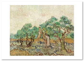  «Открытка Vincent van Gogh — The Olive Orchard (VG98)», бренда Artistic Card - фото №1 - миниатюра