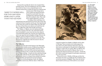 Паперова книга «Vikings. A History of the Norse People », автор Мартін Догерті - фото №5 - мініатюра