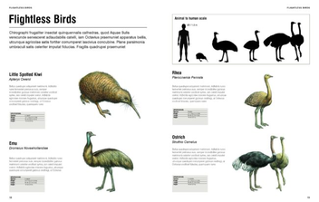 Паперова книга «Visual Encyclopedia of Animals», автор Том Джексон - фото №2 - мініатюра