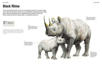 Паперова книга «Visual Encyclopedia of Animals», автор Том Джексон - фото №3 - мініатюра