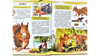 Бумажная книга «Мами та малюки», автор Нелли Малеваная - фото №4 - миниатюра