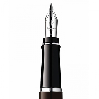  «Перьевая ручка Waterman Expert Deep Brown CT (10 040)», бренда Waterman - фото №3 - миниатюра