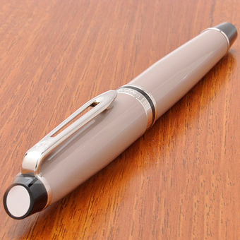  «Перьевая ручка Waterman Expert Taupe CT (10 041)», бренда Waterman - фото №6 - миниатюра