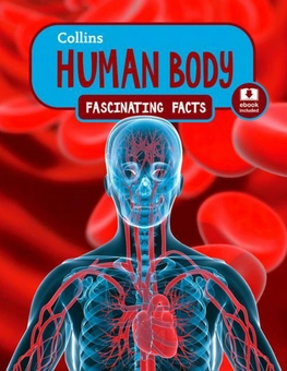 Паперова книга «Fascinating Facts: Human Body» - фото №1 - мініатюра