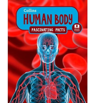 Паперова книга «Fascinating Facts: Human Body» - фото №2 - мініатюра