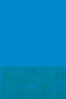 Бумажная книга «Здоров'я, безпека та добробут. 5 клас. Зошит для моніторингу навчальних досягнень», автор Наталья Полищук - фото №2 - миниатюра