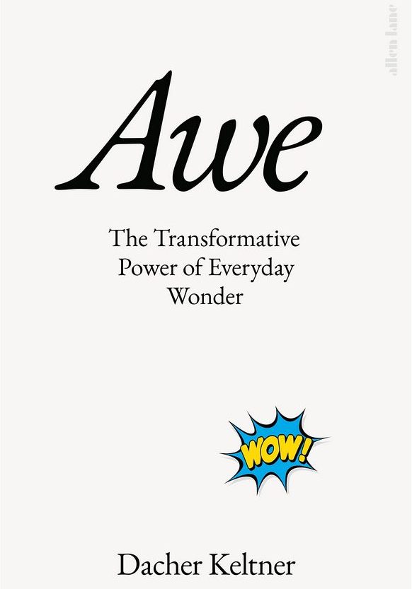 Бумажная книга «Awe: The Transformative Power of Everyday Wonder», автор Дакер Келтнер - фото №1
