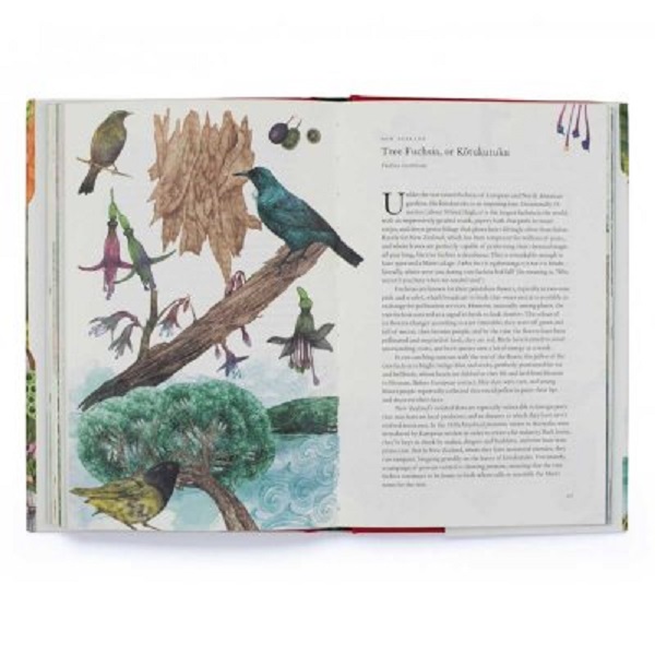 Бумажная книга «Around the World in 80 Plants», автор Джонатан Дрори - фото №1
