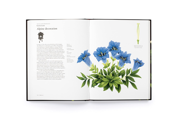 Паперова книга «The Story of Flowers : And How They Changed the Way We Live», автор Ноель Кінгсбері - фото №1