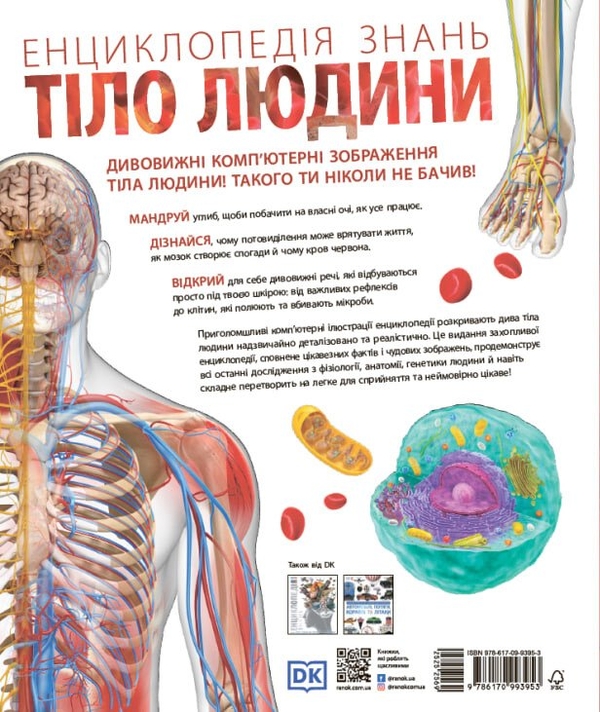 [object Object] «Енциклопедія знань. Тіло людини », авторов Питер Крисп, Стив Хоффман - фото №2 - миниатюра