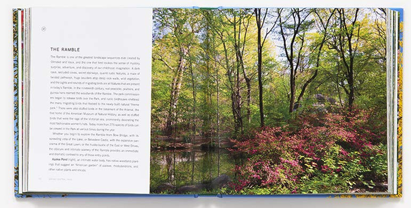 Бумажная книга «Seeing Central Park. The Official Guide Updated and Expanded», автор Сара Миллер - фото №1