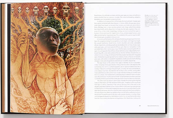 Бумажная книга «Lost Anatomies: The Evolution of the Human Form», автор Джон Гурче - фото №1