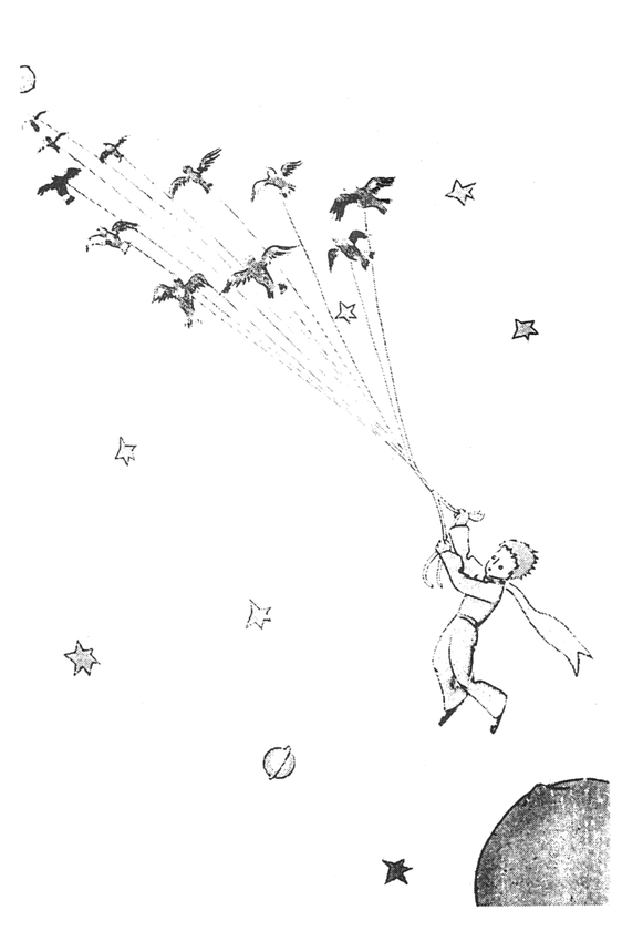 Бумажная книга «The Little Prince», автор Антуан де Сент-Экзюпери - фото №1