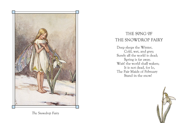 Бумажная книга «Flower Fairies of the Winter», автор Сесиль Мэри Баркер - фото №1