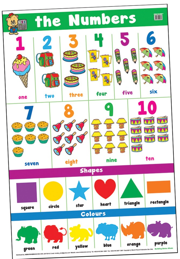 [object Object] «Education Charts. The Numbers» - фото №1