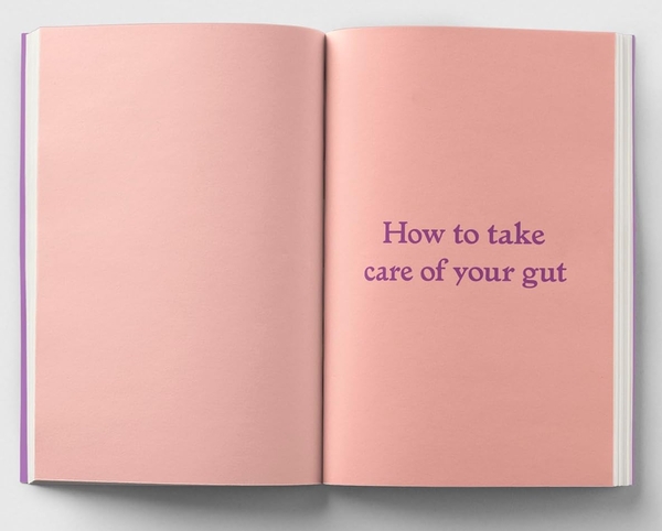 Бумажная книга «The Gut: A Pocket Primer», автор Эми Флеминг - фото №1