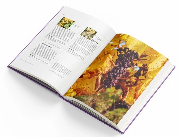 Бумажная книга «Wines of Ukraine. The Untold Story», автор Сергей Климов - фото №1