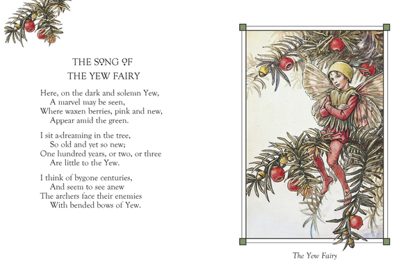 Бумажная книга «Flower Fairies of the Winter», автор Сесиль Мэри Баркер - фото №1