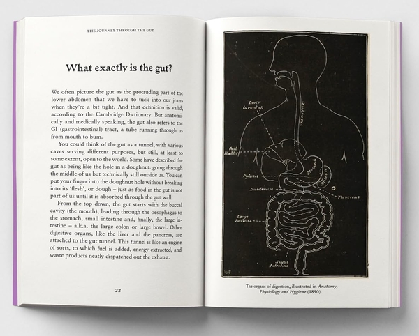 Бумажная книга «The Gut: A Pocket Primer», автор Эми Флеминг - фото №1
