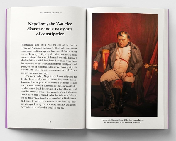 Бумажная книга «The Gut: A Pocket Primer», автор Эми Флеминг - фото №1