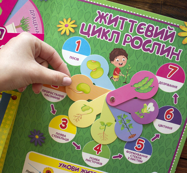 Бумажная книга «Міні-лепбук. Рослини» - фото №1