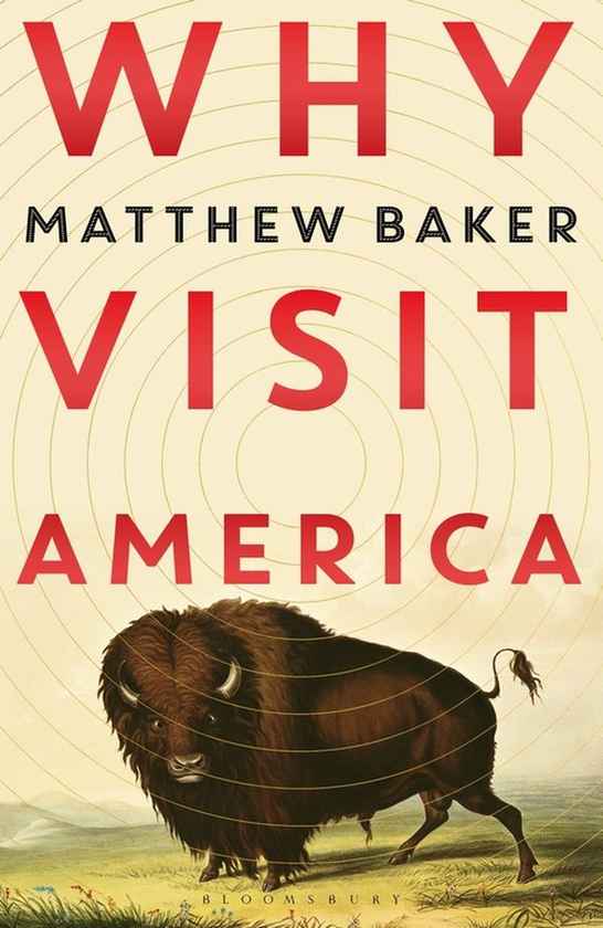 Бумажная книга «Why Visit America», автор Мэттью Бейкер - фото №1