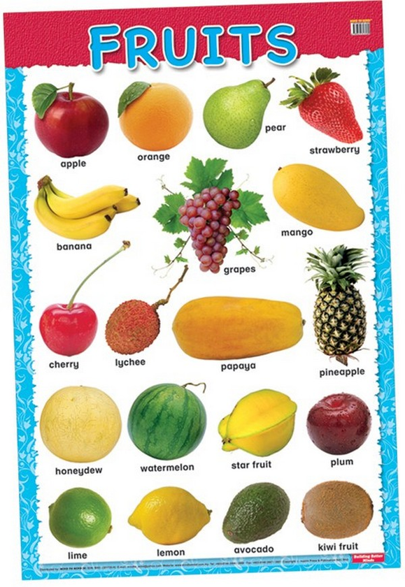 [object Object] «Education Charts. Fruits» - фото №1