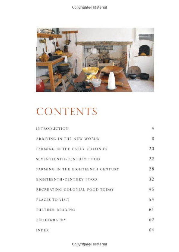 Паперова книга «Colonial Food», автор Енн Шендонне - фото №1