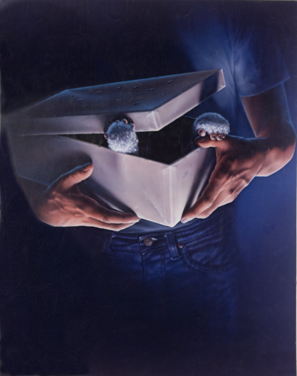 Бумажная книга «The Art of John Alvin», автор Андреа Элвин - фото №1
